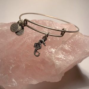 Alex and Ani silver seahorse bracelet